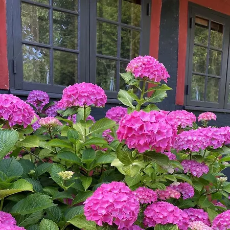 Elvin - 2-7km From The Sea By Interhome Feriehus Nordenbro Vesteregn