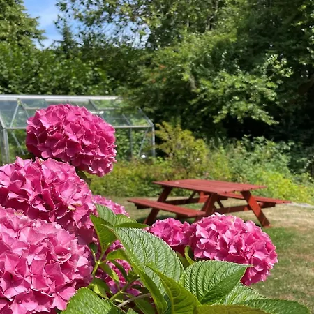 Elvin - 2-7km From The Sea By Interhome Nordenbro Vesteregn